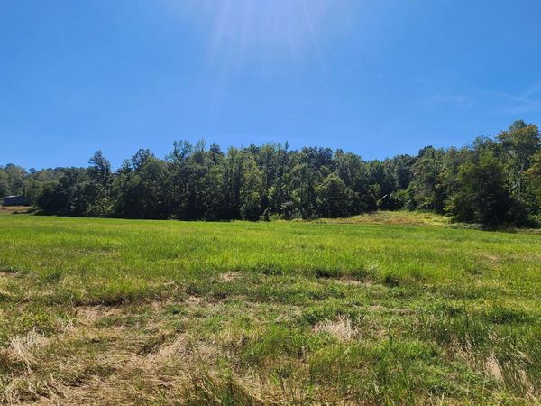 229 Bob Walker Rd , Bumpus Mills, TN 37028