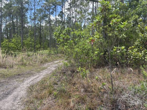 0 Holopaw Groves Road, St. Cloud, FL 34772