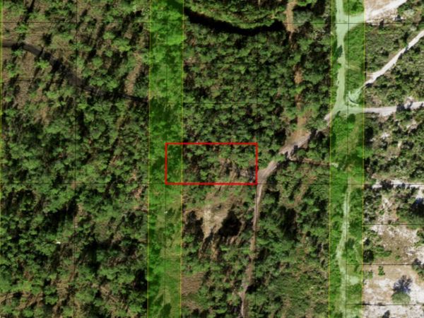 0 Holopaw Groves Road, St. Cloud, FL 34772