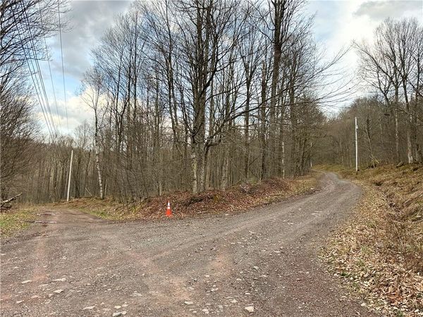 Madigan Lane , Hancock, NY 13783