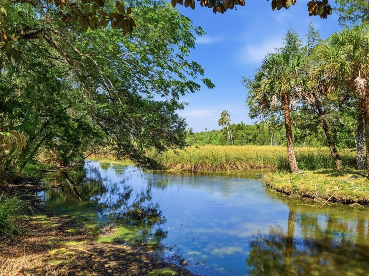 8979 W White Dogwood Drive , Homosassa, FL 34448 Photo