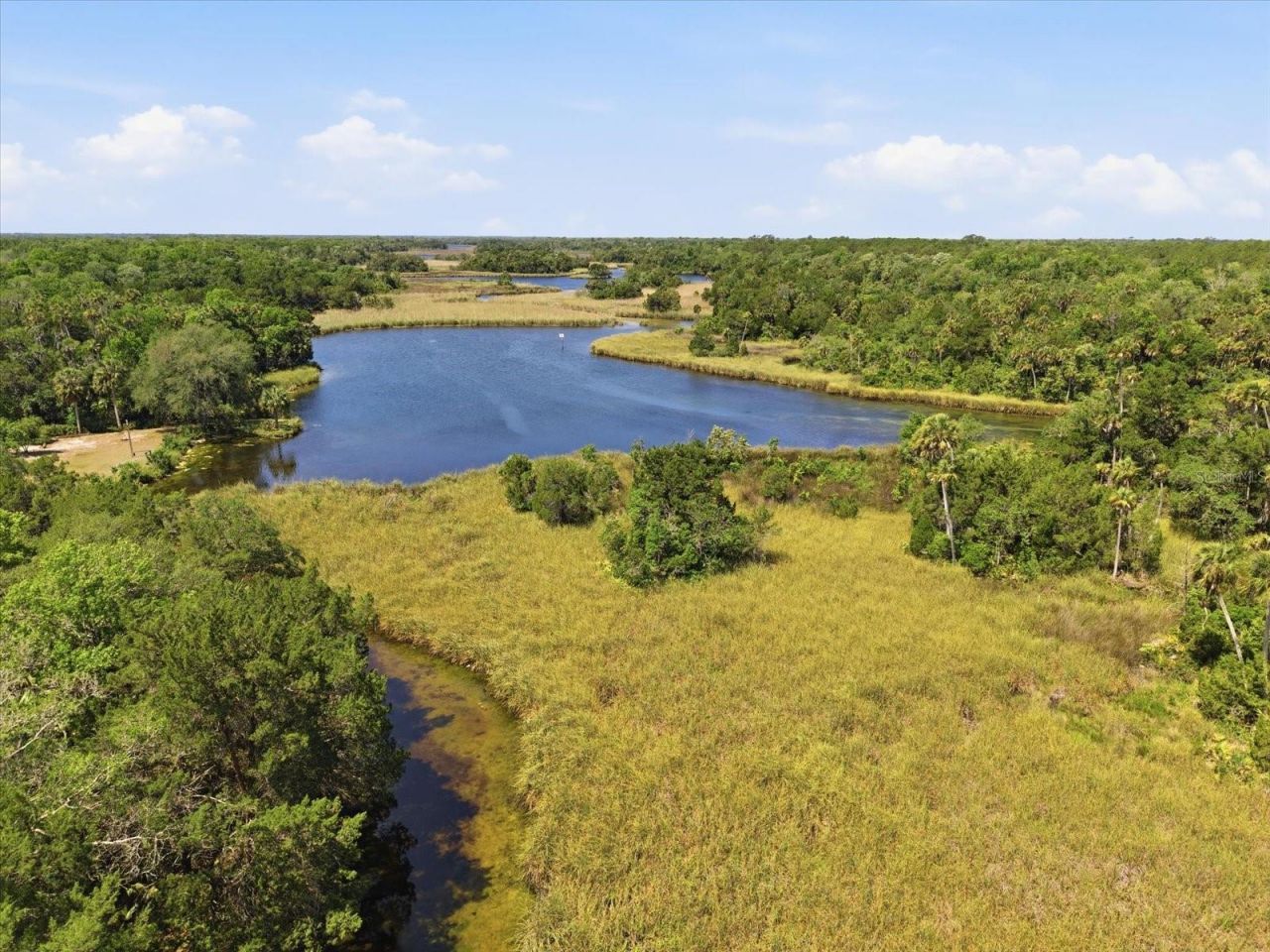 8979 W White Dogwood Drive , Homosassa, FL 34448 Photo