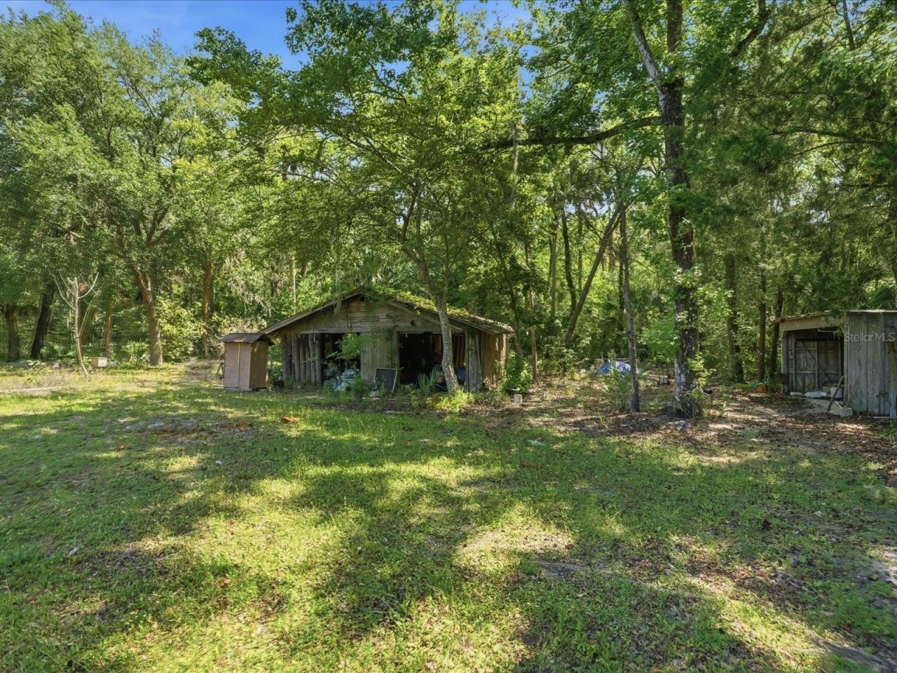 8979 W White Dogwood Drive , Homosassa, FL 34448 Photo