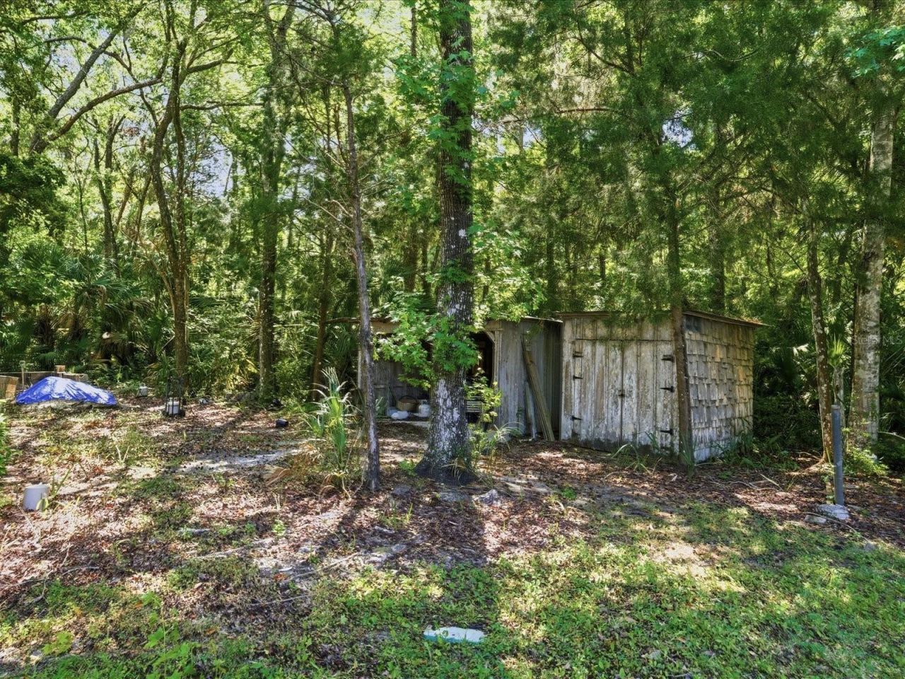 8979 W White Dogwood Drive , Homosassa, FL 34448 Photo