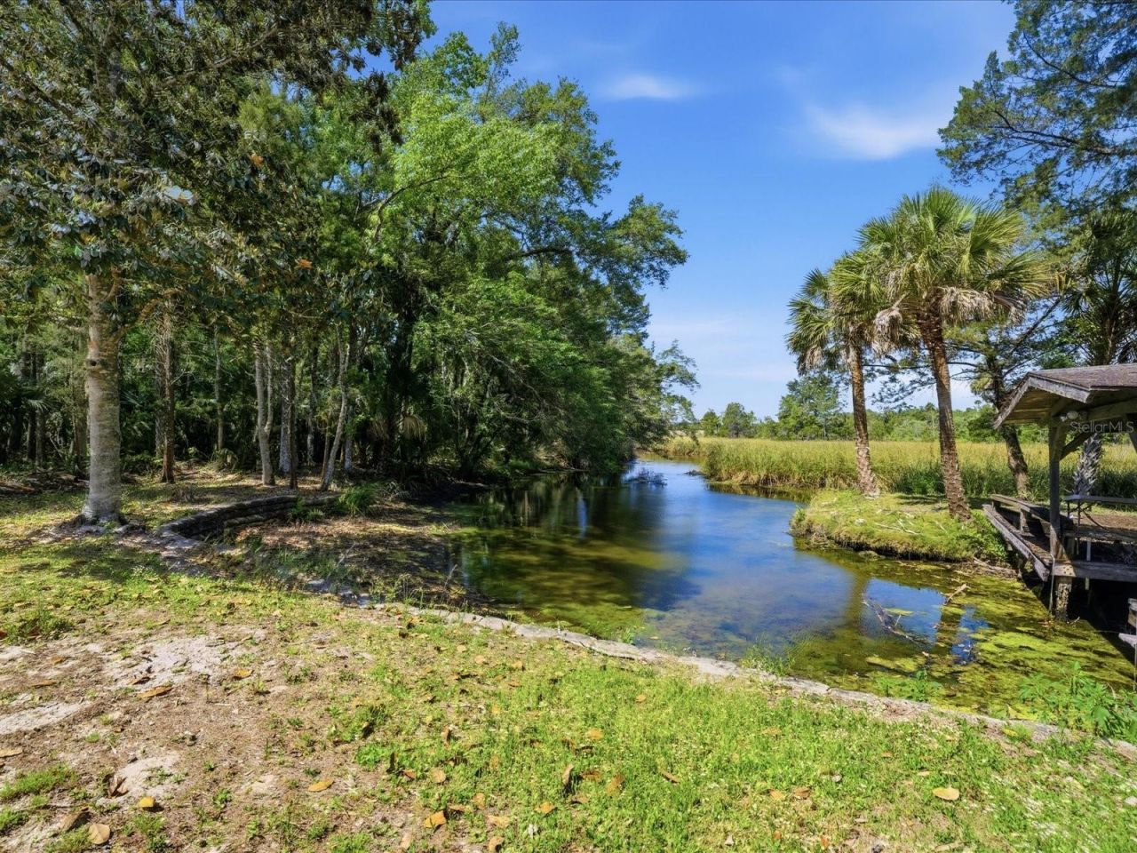 8979 W White Dogwood Drive , Homosassa, FL 34448 Photo