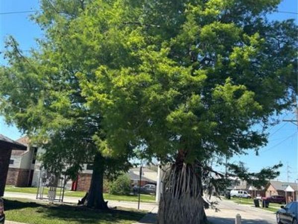 400 E LIBERAUX LAPLACE Street , Chalmette, LA 70043