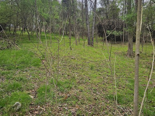 1919 Chelaque Way, Mooresburg, TN 37811