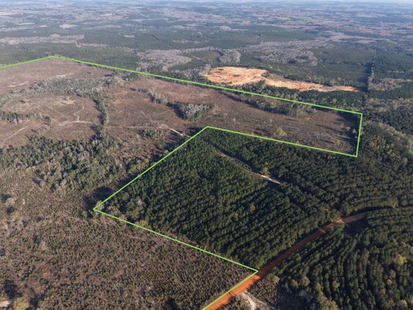 2113 TBD 526 Acres +/-, Westville, FL 32464
