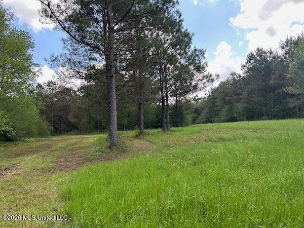 Vaniel Holmes Road, Tylertown, MS 39667