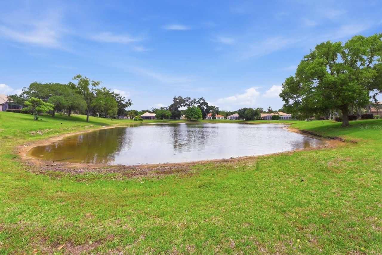 1239 W Beagle Run Loop , Hernando, FL 34442 Photo