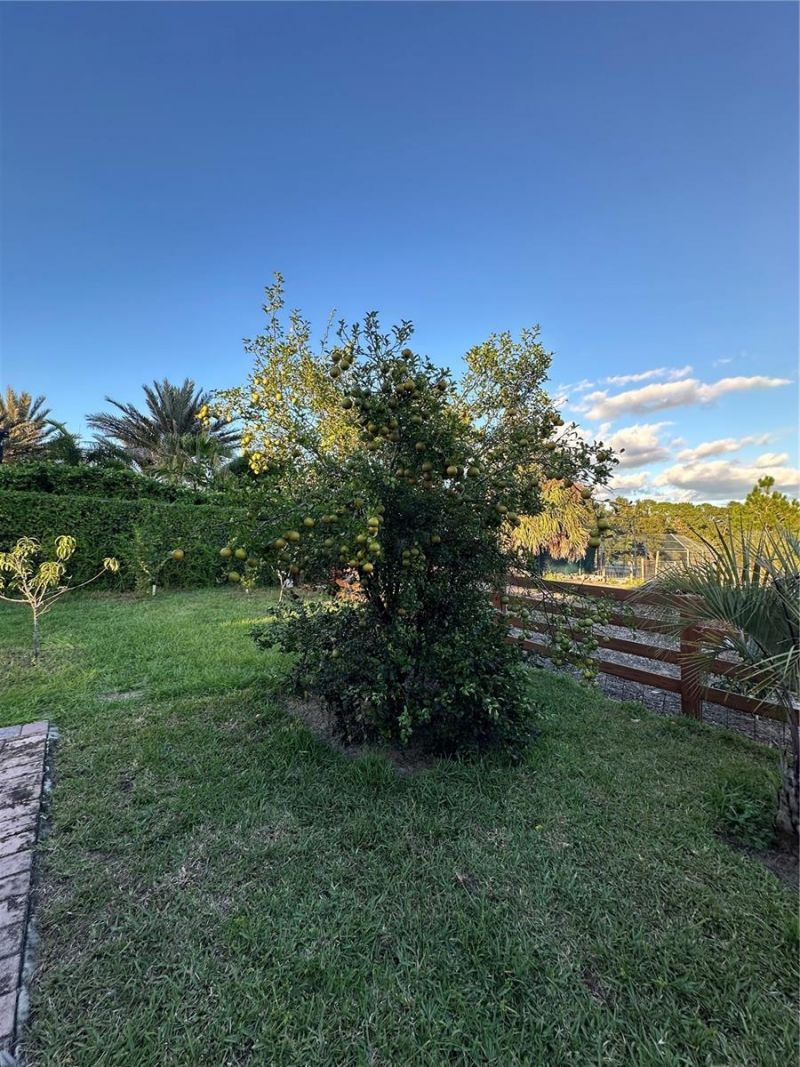 1889 Ranchland Trail, Longwood, FL 32750 Photo