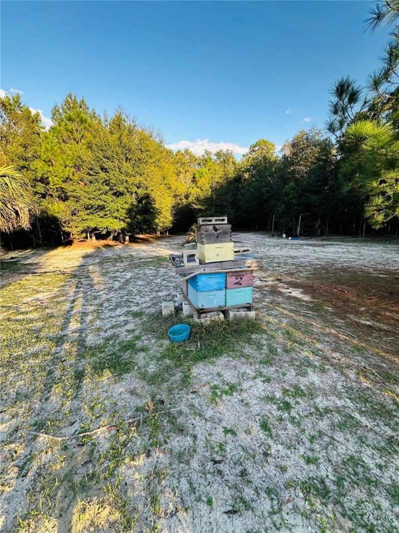 1889 Ranchland Trail, Longwood, FL 32750 Photo