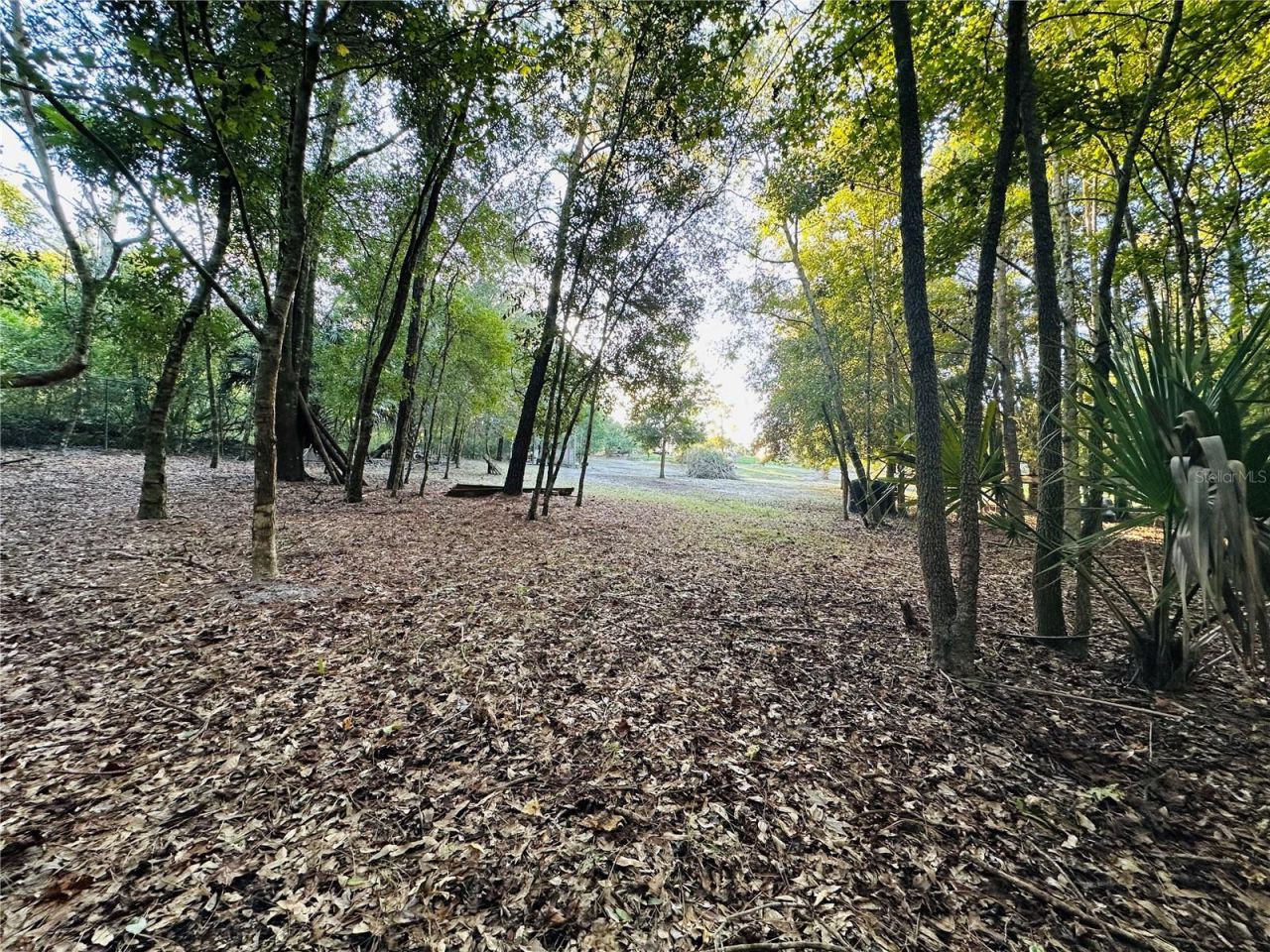 1889 Ranchland Trail, Longwood, FL 32750 Photo