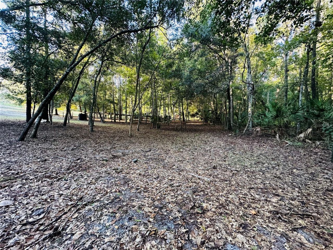 1889 Ranchland Trail, Longwood, FL 32750 Photo