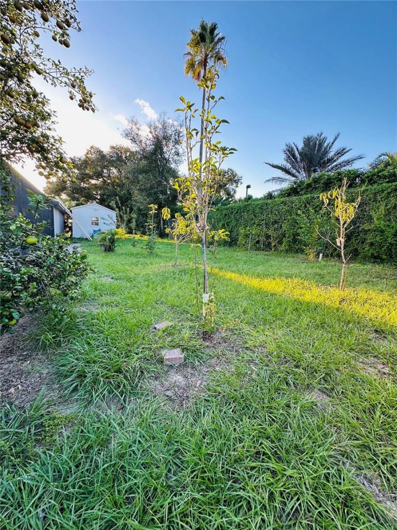 1889 Ranchland Trail, Longwood, FL 32750 Photo