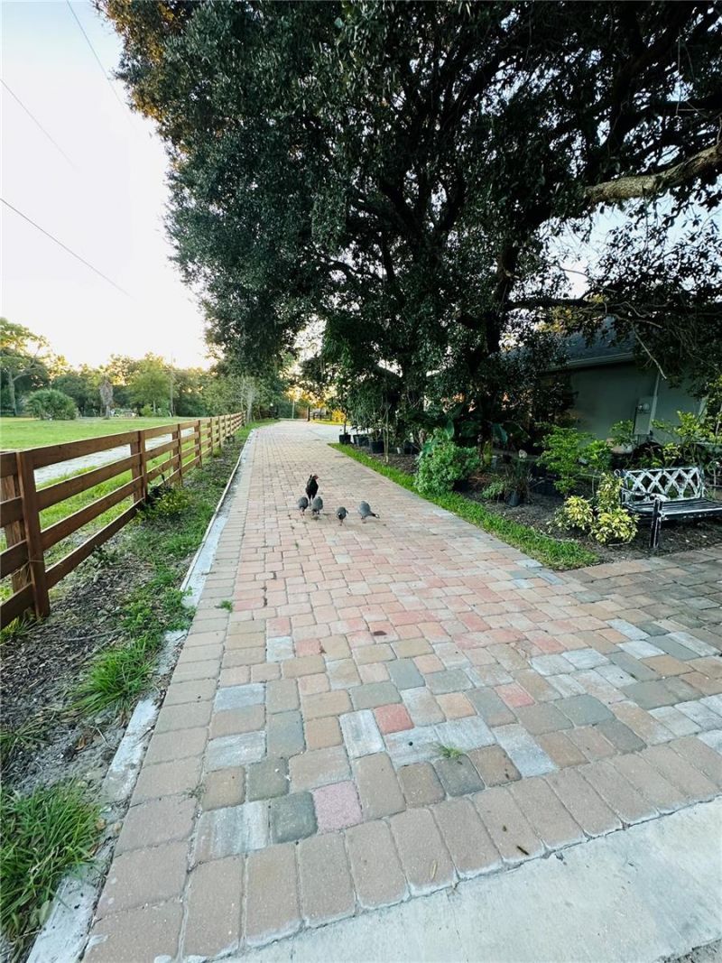 1889 Ranchland Trail, Longwood, FL 32750 Photo