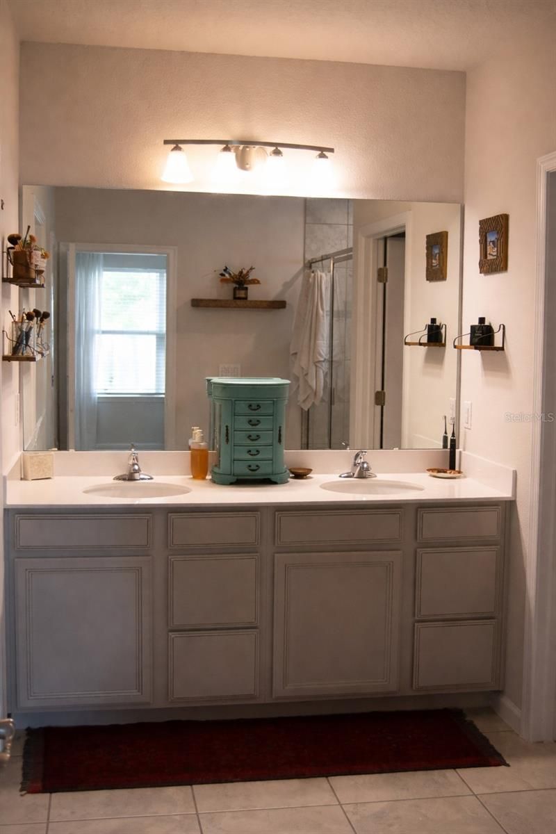 255 August Fern Loop, Mount Dora, FL 32757 Photo