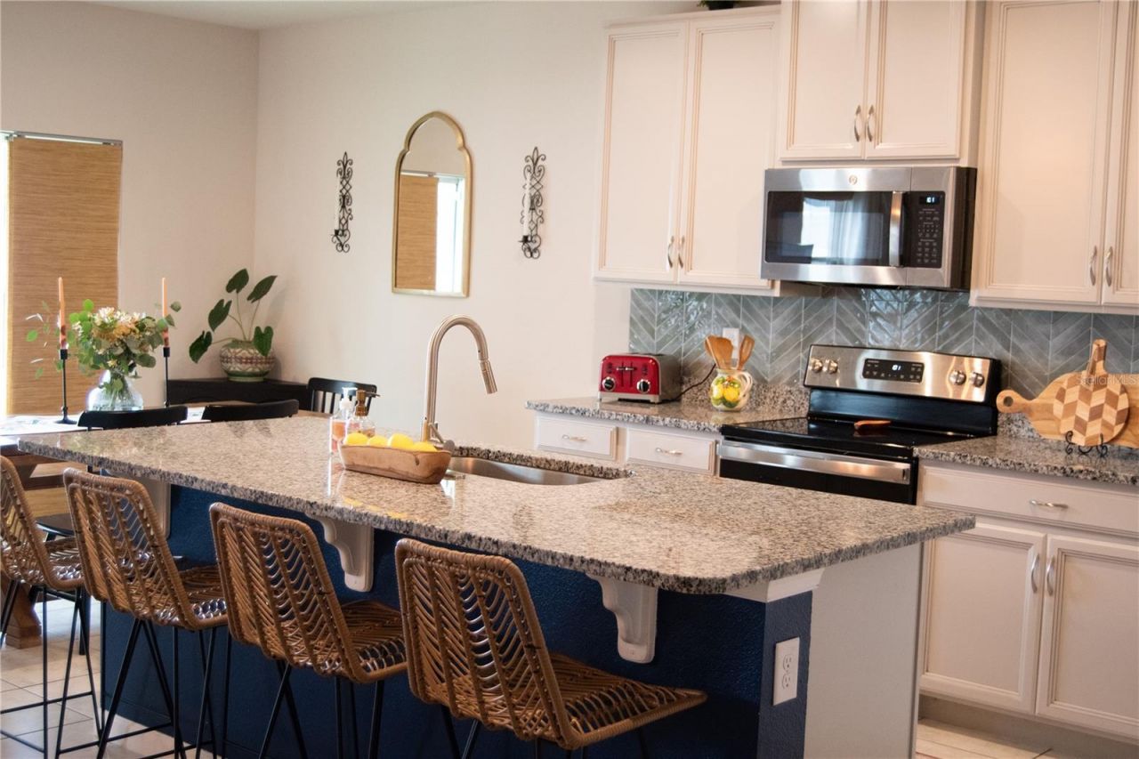 255 August Fern Loop, Mount Dora, FL 32757 Photo