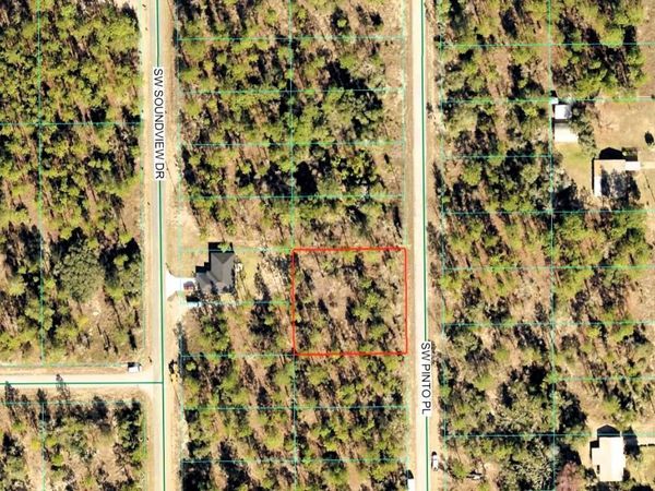 SW PINTO PL , DUNNELLON, FL 34431