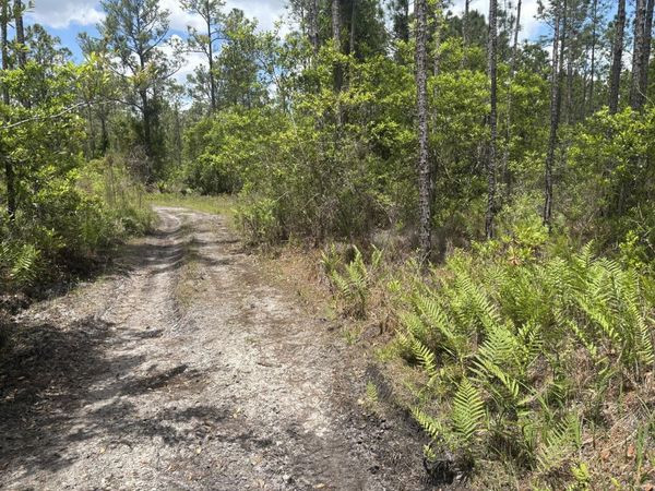 0 Holopaw Groves Road, St. Cloud, FL 34772