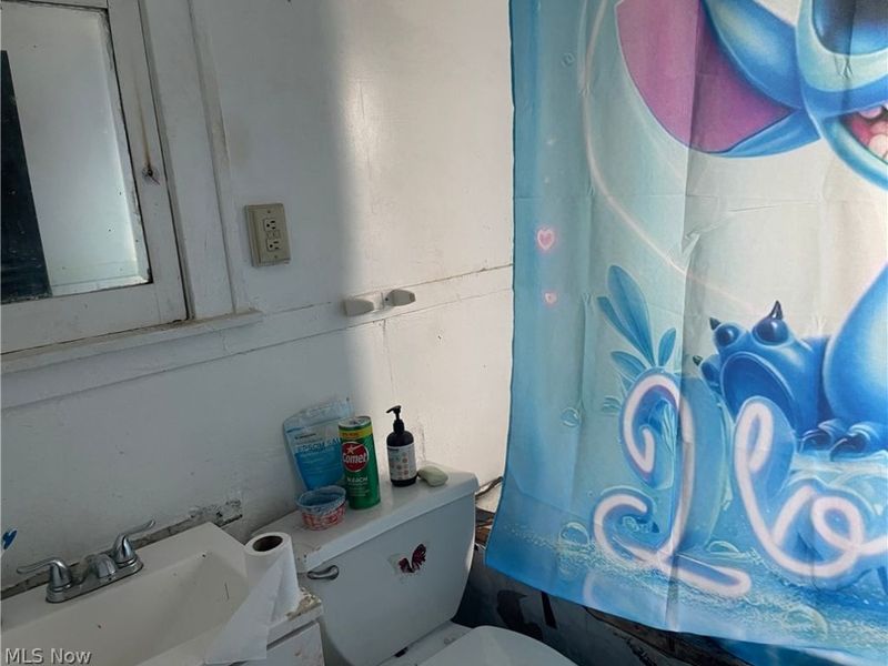 12313 Rexford Avenue, Cleveland, OH 44105 Photo 20