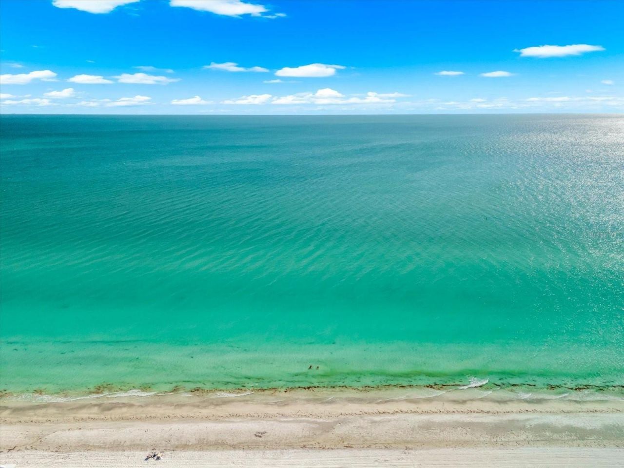 16500 Gulf Boulevard, Unit 352, North Redington Beach, FL 33708 Photo