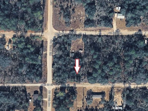 NE 66TH , WILLISTON, FL 32696