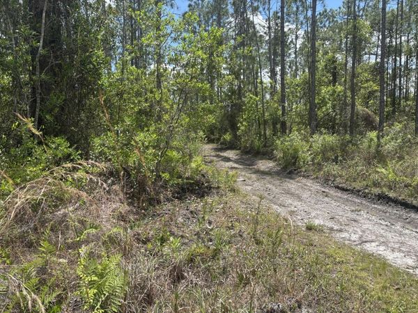 0 Holopaw Groves Road, St. Cloud, FL 34772