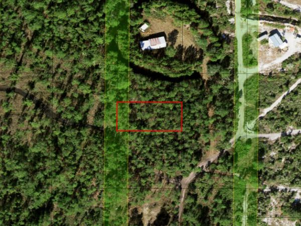 0 Holopaw Groves Road, St. Cloud, FL 34772