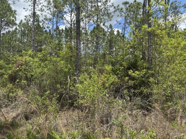 0 Holopaw Groves Road, St. Cloud, FL 34772