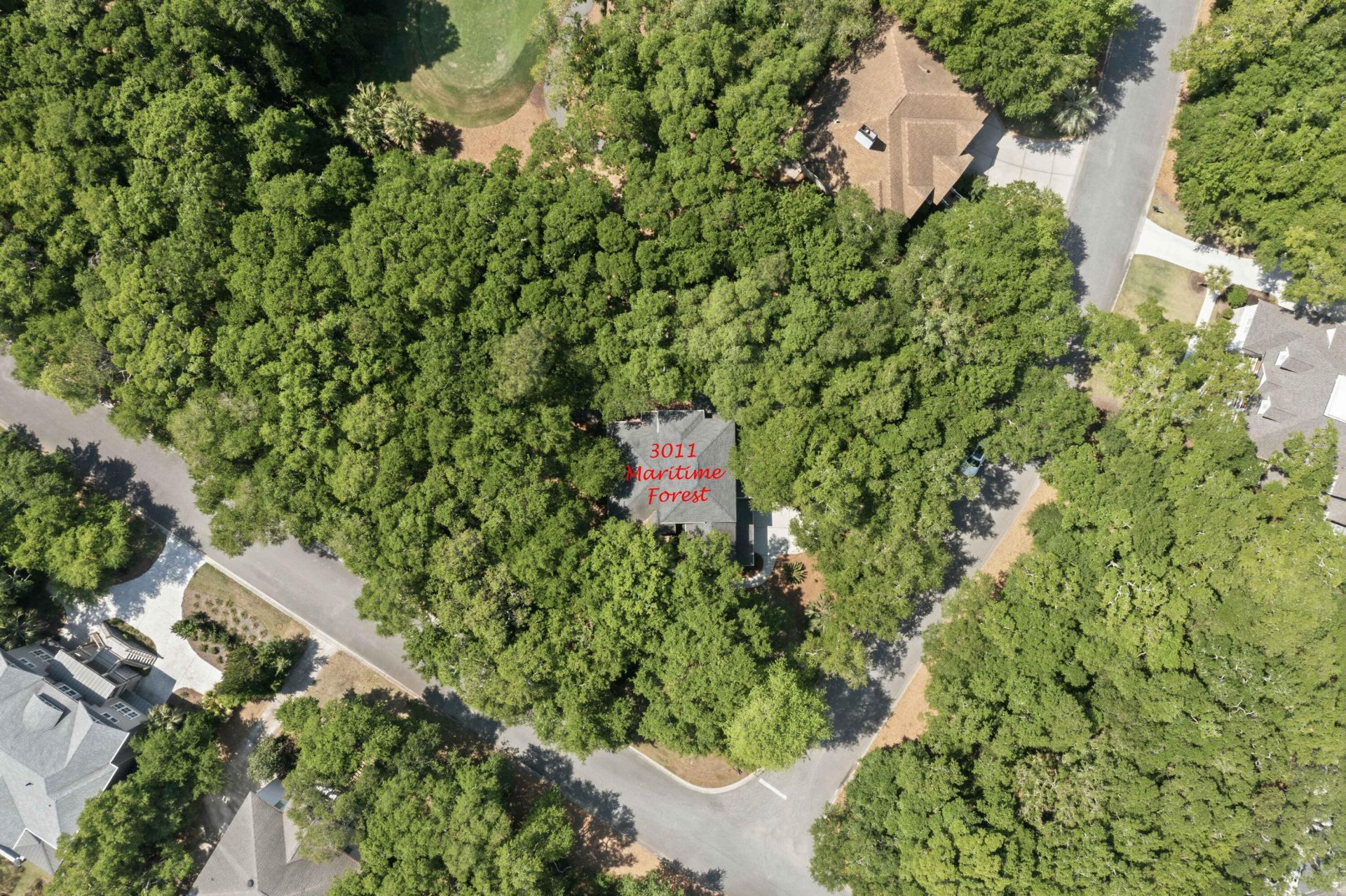 3011 Maritime Forest Drive Photo 78