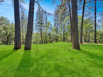 1795 Volley Rd, Meadow Vista, CA 95722 Photo