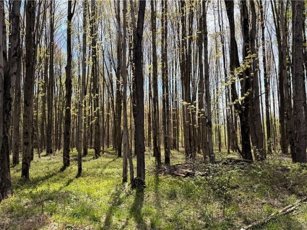 California Road , Williamsfield, OH 44093