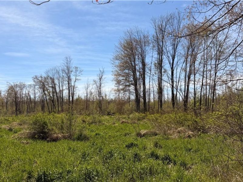 California Road, Williamsfield, OH 44093 Photo 10