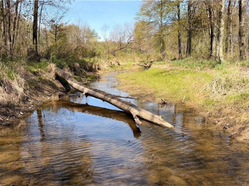 California Road, Williamsfield, OH 44093 Photo 11