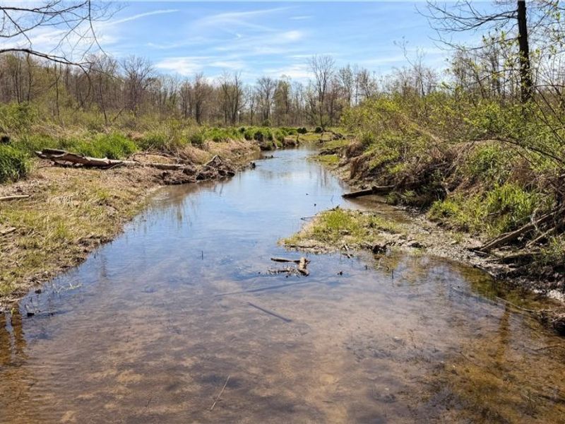 California Road, Williamsfield, OH 44093 Photo 12