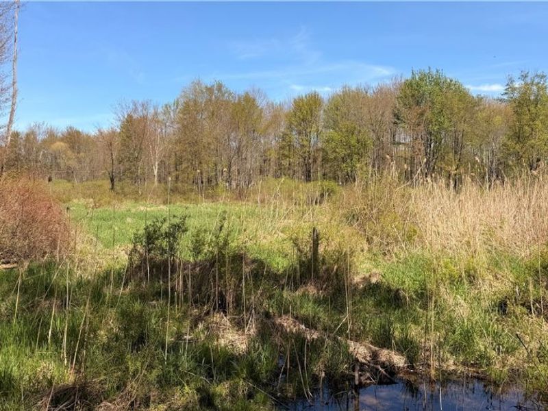 California Road, Williamsfield, OH 44093 Photo 13