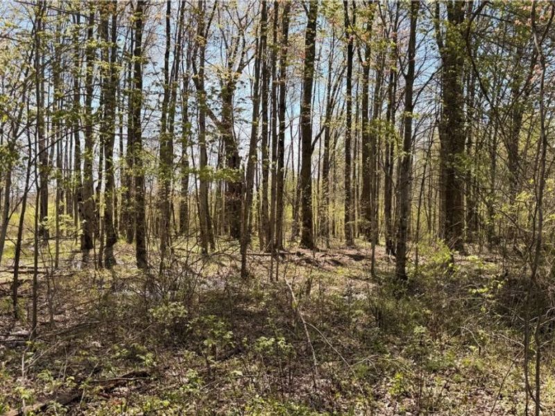 California Road, Williamsfield, OH 44093 Photo 15