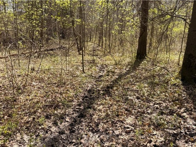 California Road, Williamsfield, OH 44093 Photo 16