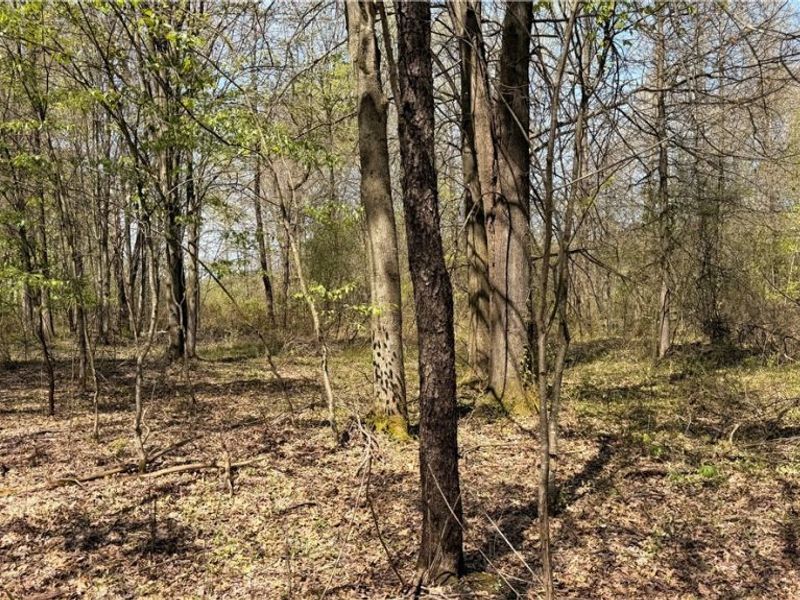 California Road, Williamsfield, OH 44093 Photo 17