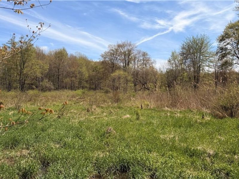 California Road, Williamsfield, OH 44093 Photo 18