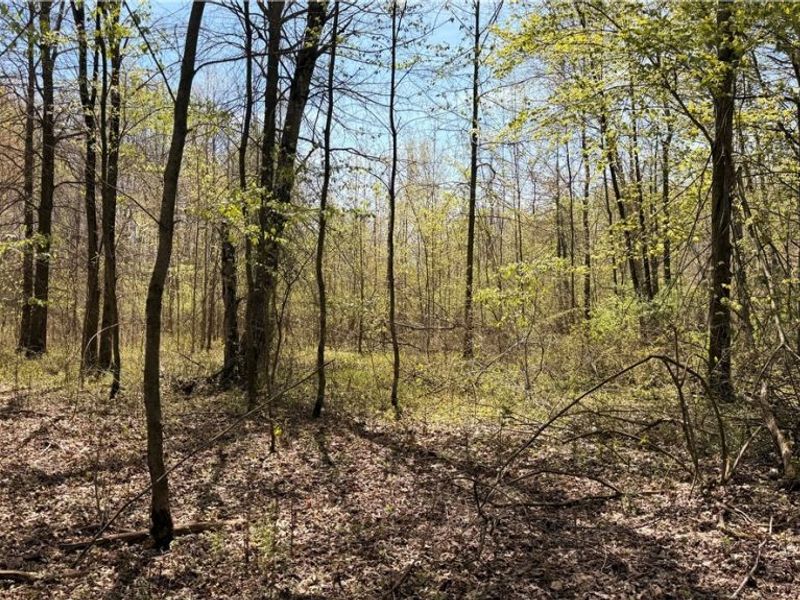 California Road, Williamsfield, OH 44093 Photo 19