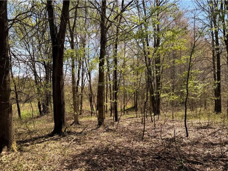 California Road, Williamsfield, OH 44093 Photo 20