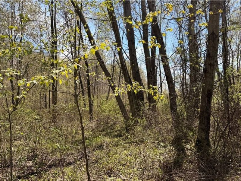 California Road, Williamsfield, OH 44093 Photo 22