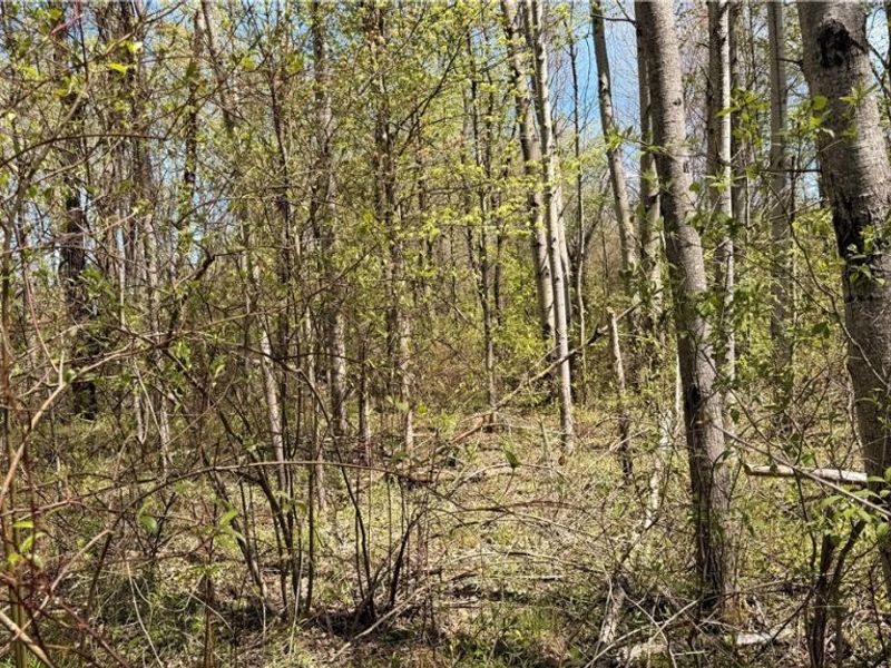 California Road, Williamsfield, OH 44093 Photo 23