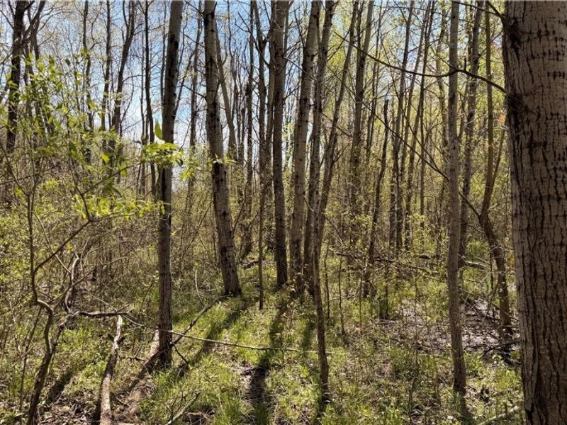 California Road, Williamsfield, OH 44093 Photo 24