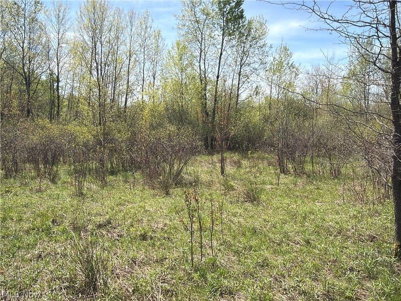 California Road, Williamsfield, OH 44093 Photo 25