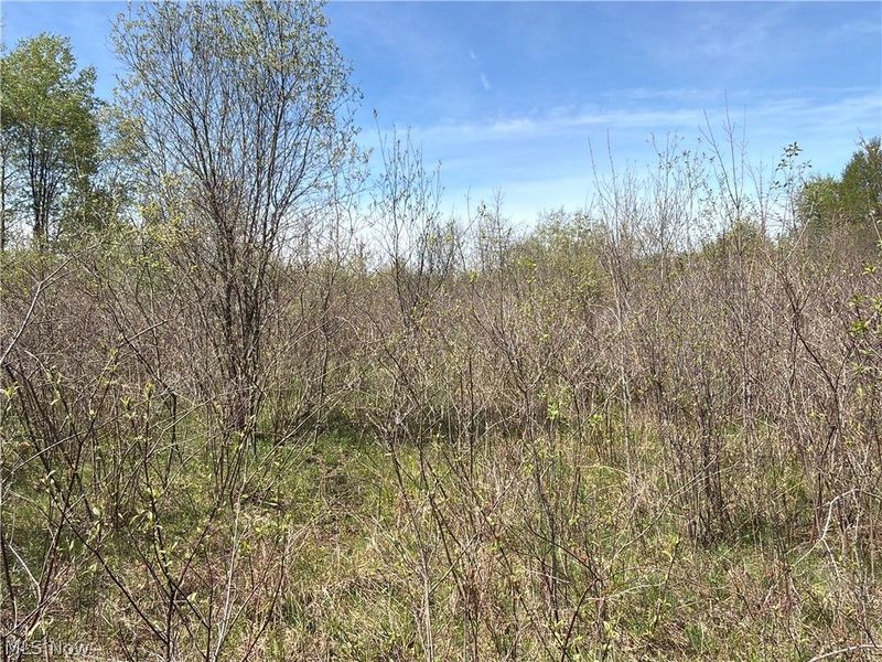 California Road, Williamsfield, OH 44093 Photo 28