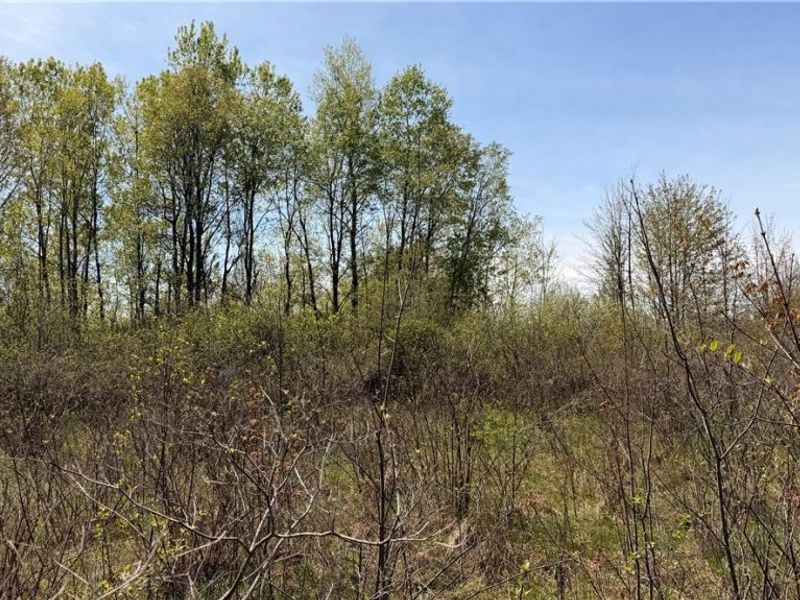 California Road, Williamsfield, OH 44093 Photo 3