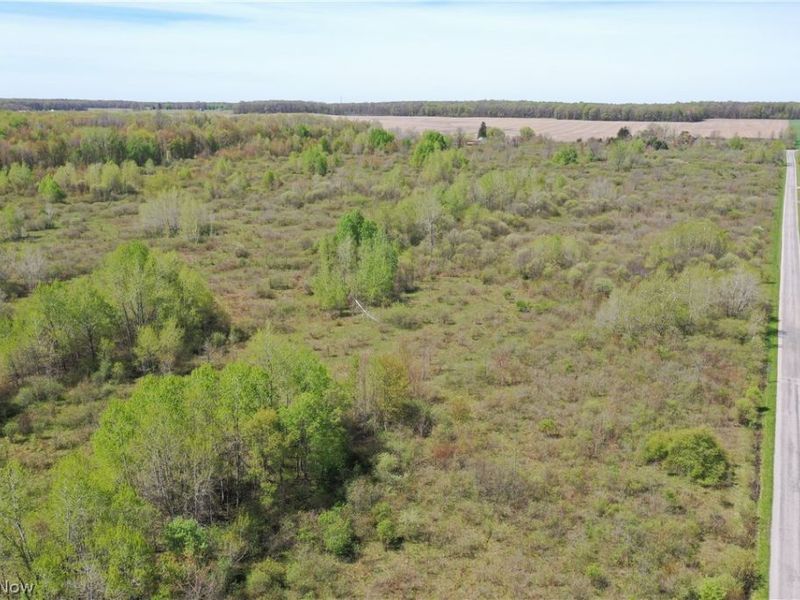 California Road, Williamsfield, OH 44093 Photo 30